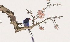 1990年属马生个兔宝宝好吗 属马人能生属兔的宝宝吗