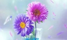 双鱼女性格特点超准  犹豫柔弱