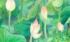 2023年属什么的属相