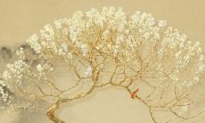 1980属猴人40岁到49岁运程 80年属猴人中年运势