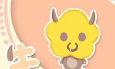 属牛人和同年人结婚好不好？