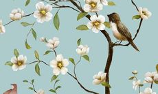 2023年水兔的命运