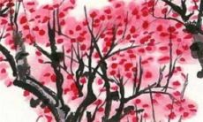 犯太岁2023年怎么化解龙