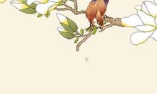 1979年属羊43岁后会大富大贵 79属羊43岁后运势如何