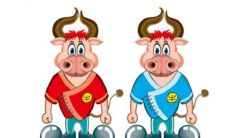 2021年属什么生肖 运势如何