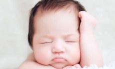 如虎添翼的虎宝宝名字