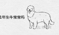 属狗的适合2021年生牛宝宝吗最忌生什么属相宝宝