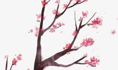 好听的女孩名字单字