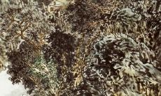 1970属狗射手2022运势