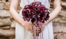 1971年11月25号是什么星座