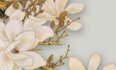 2023年属兔的吉祥色