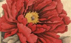 戊午马2022年运势及运程