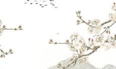 1987年属兔2022年的运势