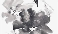 2023年属虎宝宝运气