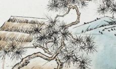 1995年属猪2022年破太岁要注意什么 95年27岁生肖猪逢虎年运势如何