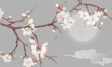 96年属鼠2022年正桃花何时出现 96年鼠2022年几月桃花最旺