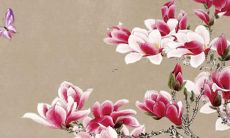 2022年属虎的几月运势最好