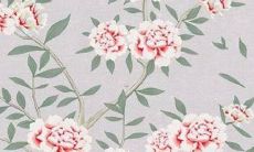 2023年生肖蛇的运势