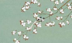 2022年1994属狗女的全年运势