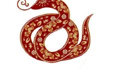 同年属蛇的人结婚好不好？