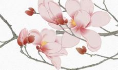 好听的道家名字