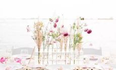 男狮子座三区和女巨蟹座一区配对