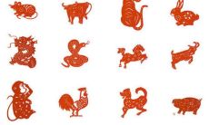 十二生肖五行属性