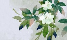 2022年五月虎女宝宝名字