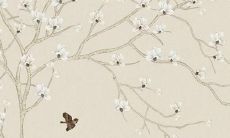 兔男生本命年红绳