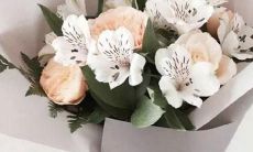 狮子座和金牛座配吗？