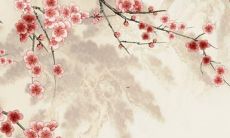 本命年8月兔手链朱砂