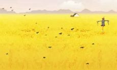 1994年芒种出生的属狗人大富大贵命吗,属狗人婚配宜忌解析