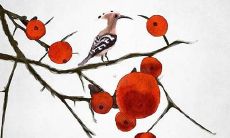 2023的属兔什么命