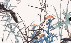 2023年属兔太岁属相