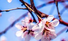 讼卦九四爻 讼卦卦象是乾上坎下吗