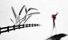 2023年属龙女运势如何呢