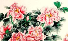 2022年虎宝宝五行缺啥