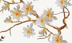 2022年犯太岁的生肖有哪五个