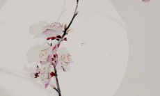 龙的运势2022年的运程