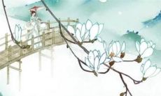 属虎2022年有大灾吗 2022年属虎人本命年运势