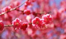 怎么算闰年和平年的二月份天数 怎么算闰年和平年?