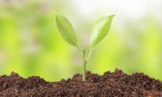 梦见笑，梦见大笑