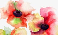 本命年兔礼物13岁