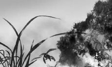 2023年太岁将军是谁