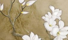 71年属猪男每月运势2022