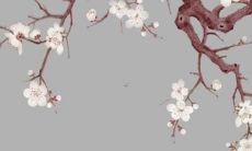 2023年几月生算属兔