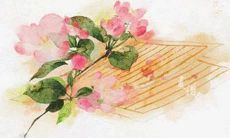 属鼠2023年总体财运