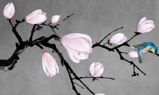 2022年属虎本命年适合穿红色吗 虎年本命年忌红色吗