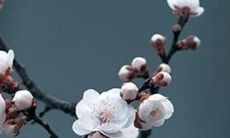 90年属龙2022年全年运势