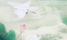 属兔的2023年戴什么